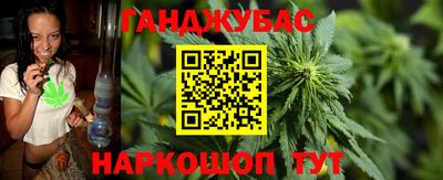 сатива Будённовск