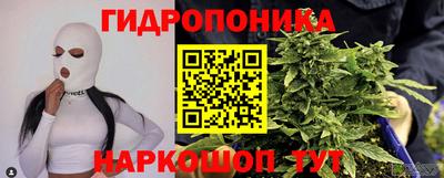 сатива Будённовск