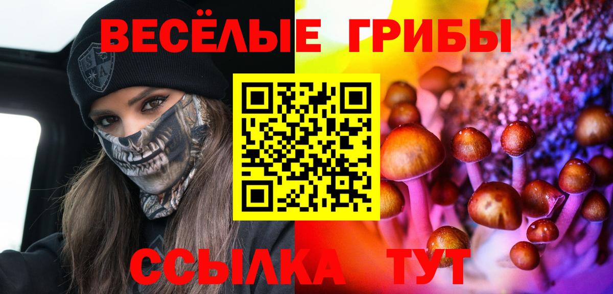 Галлюциногенные грибы ЛСД Моздок