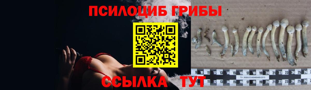 Моздок  Галлюциногенные грибы ЛСД  цены   Псилоцибиновые грибы Cubensis  Вход с VPN 